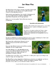 Blauer-Pfau-Steckbrief.pdf